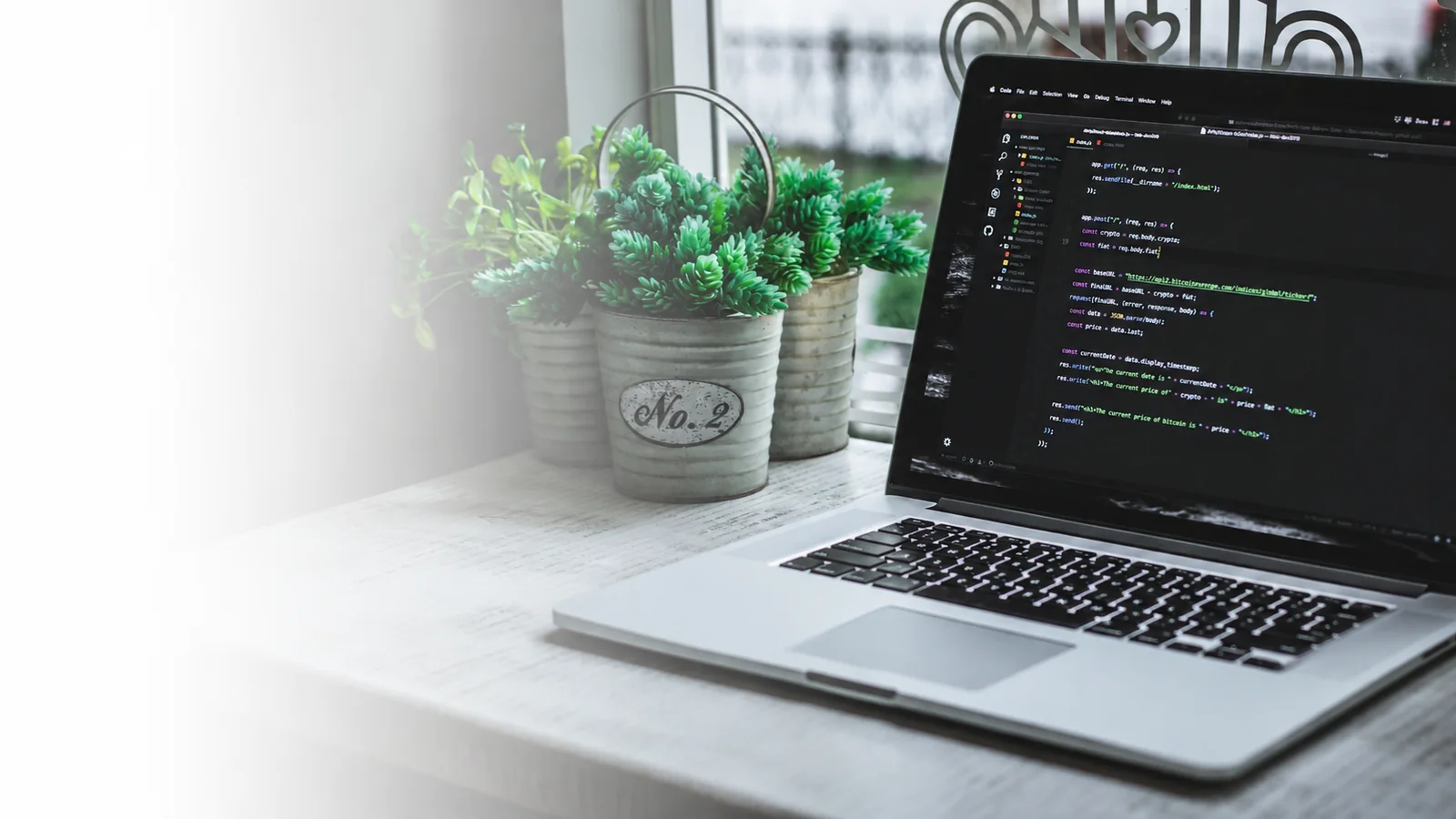 Laptop displaying website code beside green plants in a bright workspace